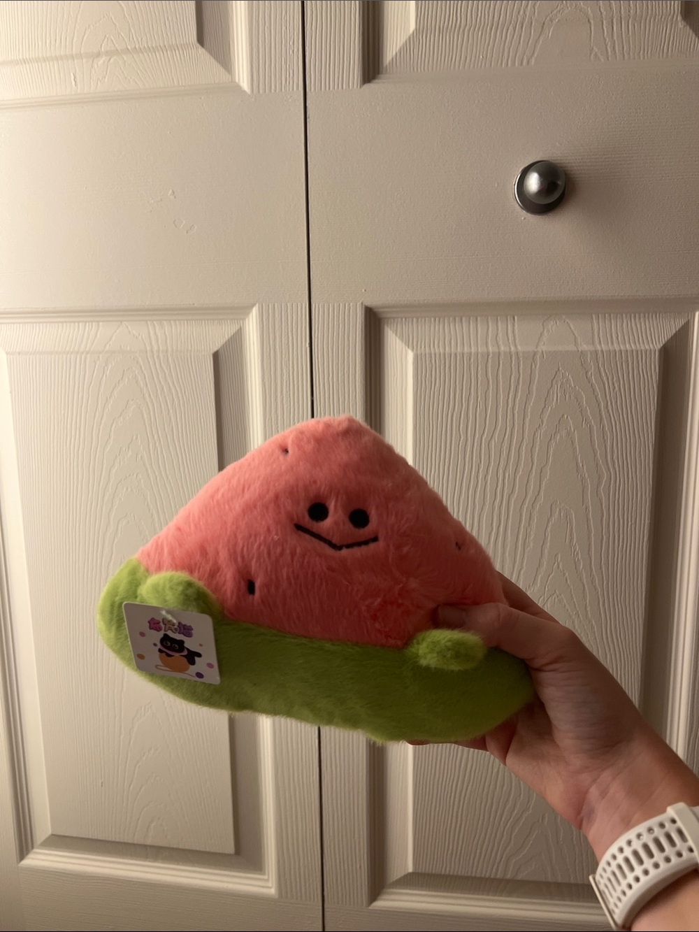 Smiling Pink & Green Plush Toy